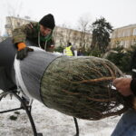 16.12.2018 Kielce. Plac Wolności. Choinki. Handel / Jarosław Kubalski / Radio Kielce