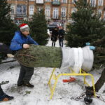 16.12.2018 Kielce. Plac Wolności. Choinki. Handel / Jarosław Kubalski / Radio Kielce