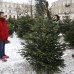 16.12.2018 Kielce. Plac Wolności. Choinki. Handel / Jarosław Kubalski / Radio Kielce