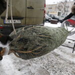 16.12.2018 Kielce. Plac Wolności. Choinki. Handel / Jarosław Kubalski / Radio Kielce