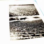 21.12.2018 Kielce. BWA - premiera książki o Pawle Pieścińskim / Jarosław Kubalski / Radio Kielce