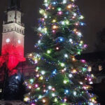 16-metrowa jodła z lasów w okolicach Jeleńca zdobi teren wokół sanktuarium na Jasnej Górze / Nadleśnictwo Ostrowiec / Nadleśnictwo Ostrowiec Świętokrzyski