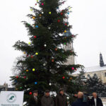 16-metrowa jodła z lasów w okolicach Jeleńca zdobi teren wokół sanktuarium na Jasnej Górze / Nadleśnictwo Ostrowiec Świętokrzyski