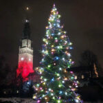 16-metrowa jodła z lasów w okolicach Jeleńca zdobi teren wokół sanktuarium na Jasnej Górze / Nadleśnictwo Ostrowiec Świętokrzyski