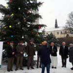16-metrowa jodła z lasów w okolicach Jeleńca zdobi teren wokół sanktuarium na Jasnej Górze / Nadleśnictwo Ostrowiec Świętokrzyski