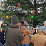 16-metrowa jodła z lasów w okolicach Jeleńca zdobi teren wokół sanktuarium na Jasnej Górze / Nadleśnictwo Ostrowiec Świętokrzyski