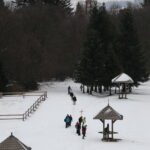 Droga Krzyżowa na Święty Krzyż / Marzena Mąkosa / Radio Kielce