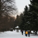 Droga Krzyżowa na Święty Krzyż / Marzena Mąkosa / Radio Kielce