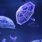 VII Ogólnopolski Festiwal Piosenki Poetyckiej i Turystycznej "Przy Kominku". Kiermasz Świąteczny, Giełda winyli i płyt CD / Marzena Mąkosa / Radio Kielce