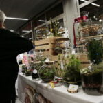 VII Ogólnopolski Festiwal Piosenki Poetyckiej i Turystycznej "Przy Kominku". Kiermasz Świąteczny, Giełda winyli i płyt CD / Marzena Mąkosa / Radio Kielce