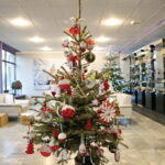 Choinka Centrum Przygotowań do Misji Zagranicznych w Kielcach / Marzena Mąkosa / Radio Kielce