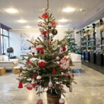 Choinka Centrum Przygotowań do Misji Zagranicznych w Kielcach / Marzena Mąkosa / Radio Kielce