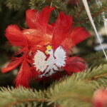 Choinka Centrum Przygotowań do Misji Zagranicznych w Kielcach / Marzena Mąkosa / Radio Kielce