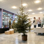 Choinka Centrum Przygotowań do Misji Zagranicznych w Kielcach / Marzena Mąkosa / Radio Kielce