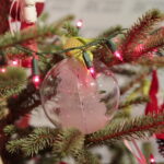 Choinka Centrum Przygotowań do Misji Zagranicznych w Kielcach / Marzena Mąkosa / Radio Kielce