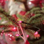 Choinka Centrum Przygotowań do Misji Zagranicznych w Kielcach / Marzena Mąkosa / Radio Kielce