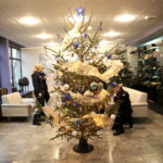 Choinka pod choinkę. Ubieranie choinki przez policję / Marzena Mąkosa / Radio Kielce