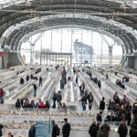 Wystawa gołębi i królików / Marzena Mąkosa / Radio Kielce