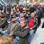 Licytacja gołębi / Marzena Mąkosa / Radio Kielce