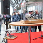 Licytacja gołębi / Marzena Mąkosa / Radio Kielce