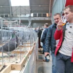 Licytacja gołębi / Marzena Mąkosa / Radio Kielce