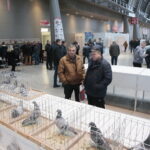 Licytacja gołębi / Marzena Mąkosa / Radio Kielce