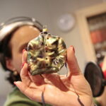 Akcja "Choinka pod choinkę 2018". Dzień pierwszy. Bombka / Marzena Mąkosa / Radio Kielce