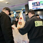 Akcja "Choinka pod choinkę 2018". Choinka Straży Pożarnej / Marzena Mąkosa / Radio Kielce