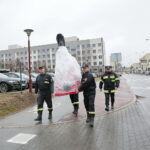 Akcja "Choinka pod choinkę 2018". Choinka Straży Pożarnej / Marzena Mąkosa / Radio Kielce