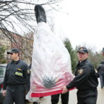 Akcja "Choinka pod choinkę 2018". Choinka Straży Pożarnej / Marzena Mąkosa / Radio Kielce