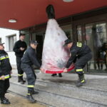 Akcja "Choinka pod choinkę 2018". Choinka Straży Pożarnej / Marzena Mąkosa / Radio Kielce