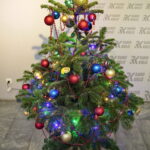 Akcja "Choinka pod choinkę 2018". Choinka Straży Pożarnej. Choinka podarowana przez Dziecięcy Zespół Pieśni i Tańca "Górne Nutki" z Górna / Marzena Mąkosa / Radio Kielce