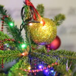 Akcja "Choinka pod choinkę 2018". Choinka Straży Pożarnej. Choinka podarowana przez Dziecięcy Zespół Pieśni i Tańca "Górne Nutki" z Górna / Marzena Mąkosa / Radio Kielce