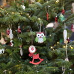 Akcja "Choinka pod choinkę". Drzewko przygotowane przez leśników / Marzena Mąkosa / Radio Kielce