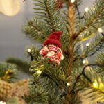 Akcja "Choinka pod choinkę". Drzewko przygotowane przez leśników / Marzena Mąkosa / Radio Kielce