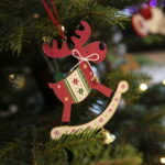 Akcja "Choinka pod choinkę". Drzewko przygotowane przez leśników / Marzena Mąkosa / Radio Kielce