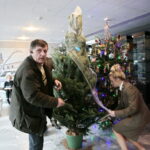 Akcja "Choinka pod choinkę". Drzewko przygotowane przez leśników / Marzena Mąkosa / Radio Kielce