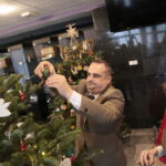 Akcja "Choinka pod choinkę". Drzewko przygotowane przez leśników / Marzena Mąkosa / Radio Kielce