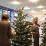 Akcja "Choinka pod choinkę". Drzewko przygotowane przez leśników / Marzena Mąkosa / Radio Kielce