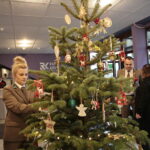 Akcja "Choinka pod choinkę". Drzewko przygotowane przez leśników / Marzena Mąkosa / Radio Kielce