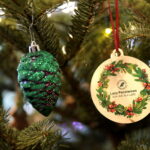 Akcja "Choinka pod choinkę". Drzewko przygotowane przez leśników / Marzena Mąkosa / Radio Kielce