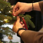 Akcja "Choinka pod choinkę". Drzewko przygotowane przez leśników / Marzena Mąkosa / Radio Kielce