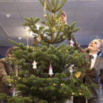 Akcja "Choinka pod choinkę". Drzewko przygotowane przez leśników / Marzena Mąkosa / Radio Kielce