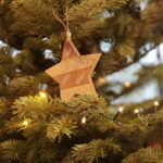 Akcja "Choinka pod choinkę". Drzewko przygotowane przez leśników / Marzena Mąkosa / Radio Kielce