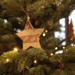 Akcja "Choinka pod choinkę". Drzewko przygotowane przez leśników / Marzena Mąkosa / Radio Kielce