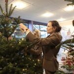 Akcja "Choinka pod choinkę". Drzewko przygotowane przez leśników / Marzena Mąkosa / Radio Kielce