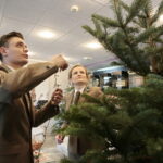 Akcja "Choinka pod choinkę". Drzewko przygotowane przez leśników / Marzena Mąkosa / Radio Kielce