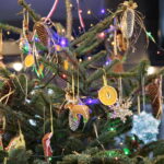 Akcja "Choinka pod choinkę". Ubieranie drzewka przez Ojców Oblatów z Klasztoru Misjonarzy Oblatów Maryi Niepokalanej na Świętym Krzyżu / Marzena Mąkosa / Radio Kielce