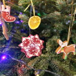 Akcja "Choinka pod choinkę". Ubieranie drzewka przez Ojców Oblatów z Klasztoru Misjonarzy Oblatów Maryi Niepokalanej na Świętym Krzyżu / Marzena Mąkosa / Radio Kielce