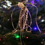 Akcja "Choinka pod choinkę". Ubieranie drzewka przez Ojców Oblatów z Klasztoru Misjonarzy Oblatów Maryi Niepokalanej na Świętym Krzyżu / Marzena Mąkosa / Radio Kielce